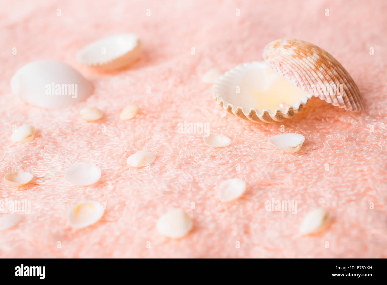 Concetto di spa con conchiglie e pearl sul delicato rosa texture terry, primo piano Foto Stock