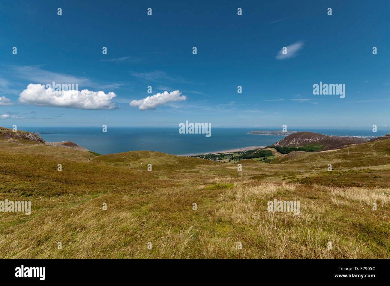 Il Galles del Nord uplands sopra Penmaenmawr vicino al Druid's Circle guardando verso Foel Lus e il Great Orme Foto Stock