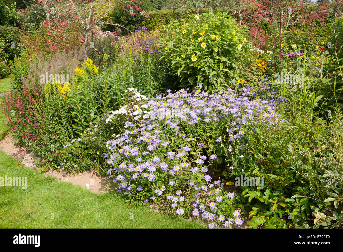 Il giardino a valle nascosta giardini in Cornovaglia su un pomeriggio estati Foto Stock