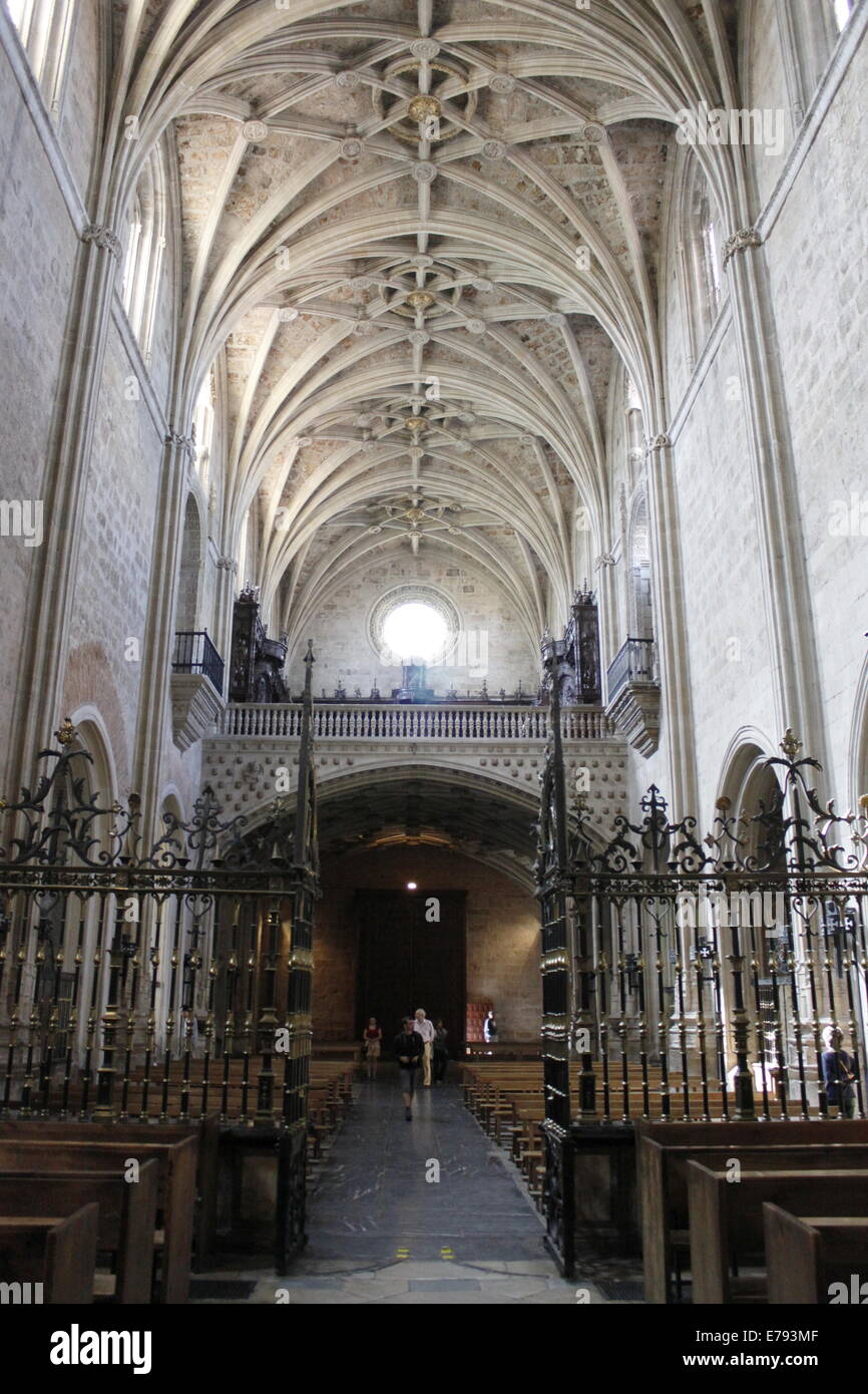 Portici all interno della chiesa, il tetto della Basilica di San Isidoro, strada di St Jacques di Compostella, il centro città di Leon, Spagna Foto Stock