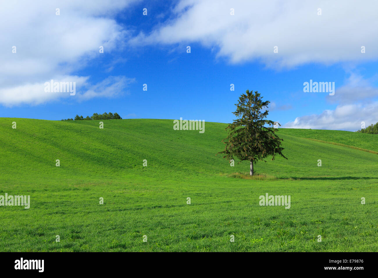 Hokkaido, Giappone Foto Stock