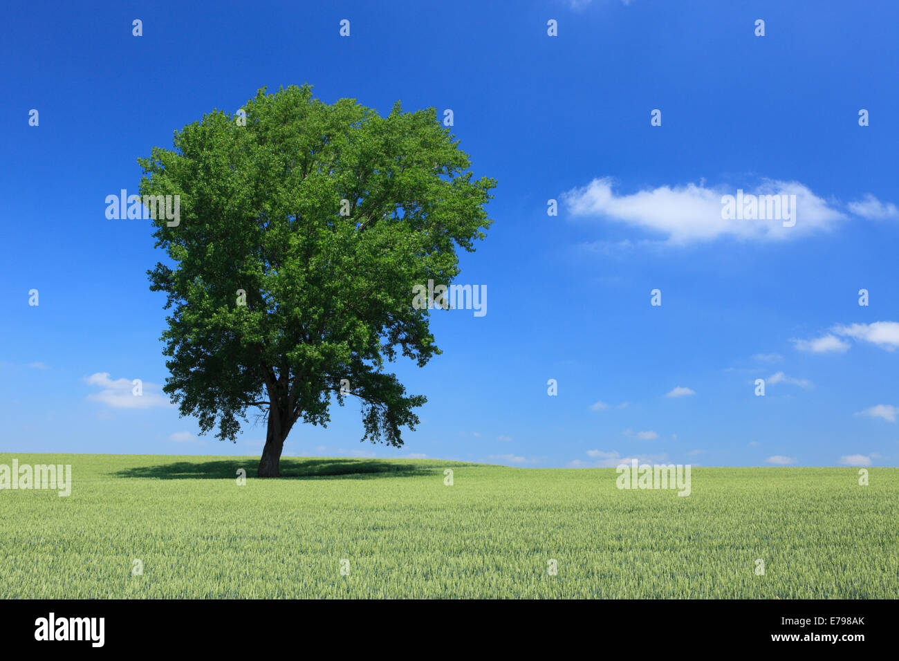 Hokkaido, Giappone Foto Stock