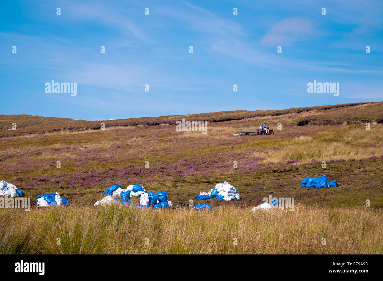 Sacchetti di plastica del manto erboso o di torba in attesa di raccolta su una palude di Donegal Foto Stock