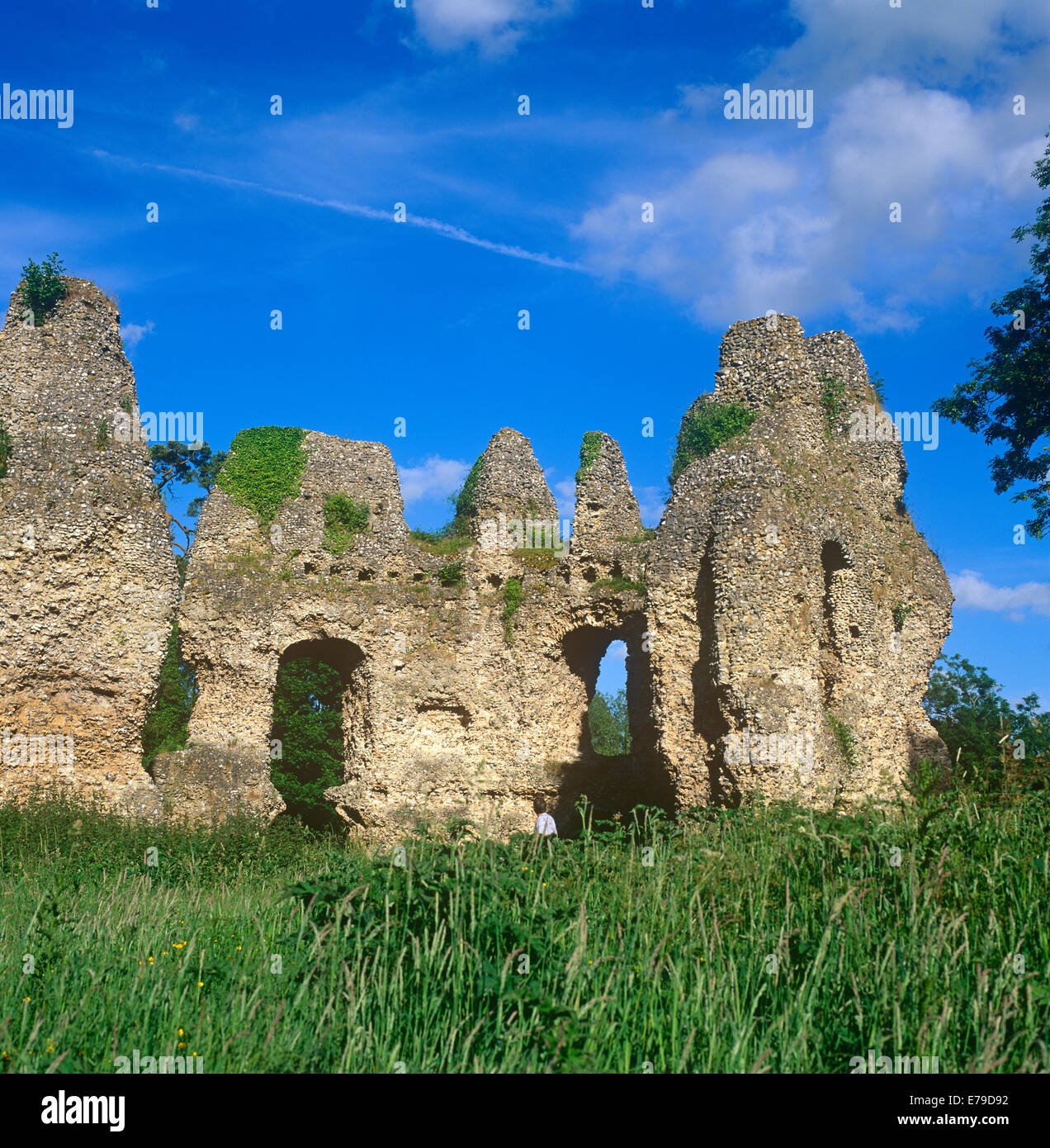 Le rovine del castello di Odiham Hampshire REGNO UNITO Foto Stock