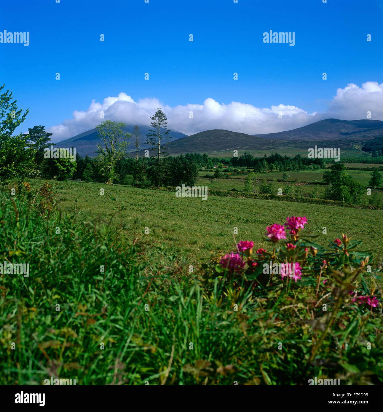 Monti Knockmealdown Irlanda Foto Stock