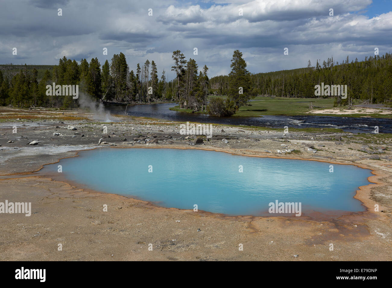 Colore blu acqua calda naturale spring pool a Yellowstone Foto Stock