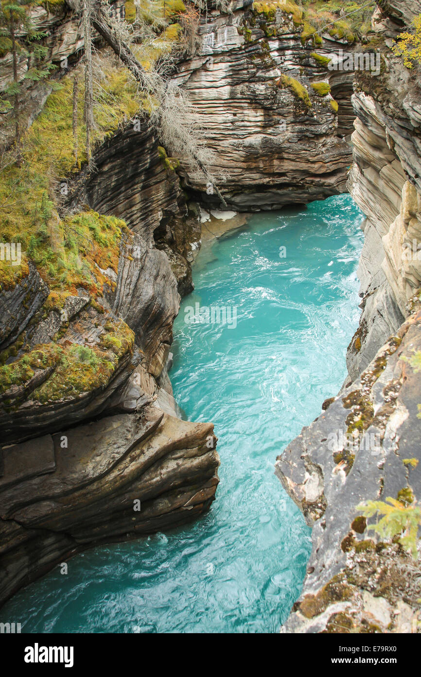 Fiume turchese - turchese acqua che fluisce attraverso un scolpito River Valley, Montagne Rocciose Canadesi Foto Stock
