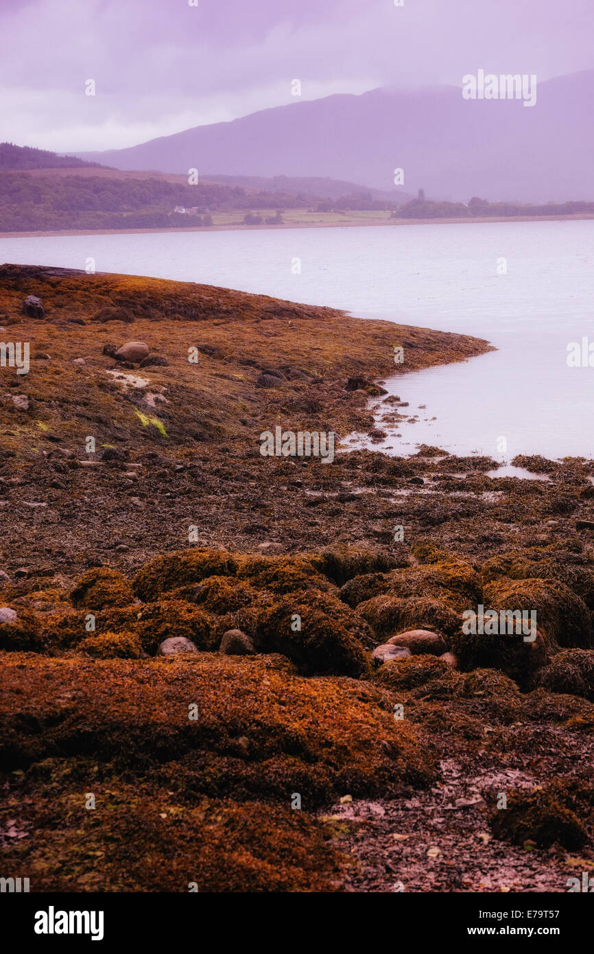 Bleak costa - Nuvoloso shore con rusty cercando la massa dall'acqua Foto Stock