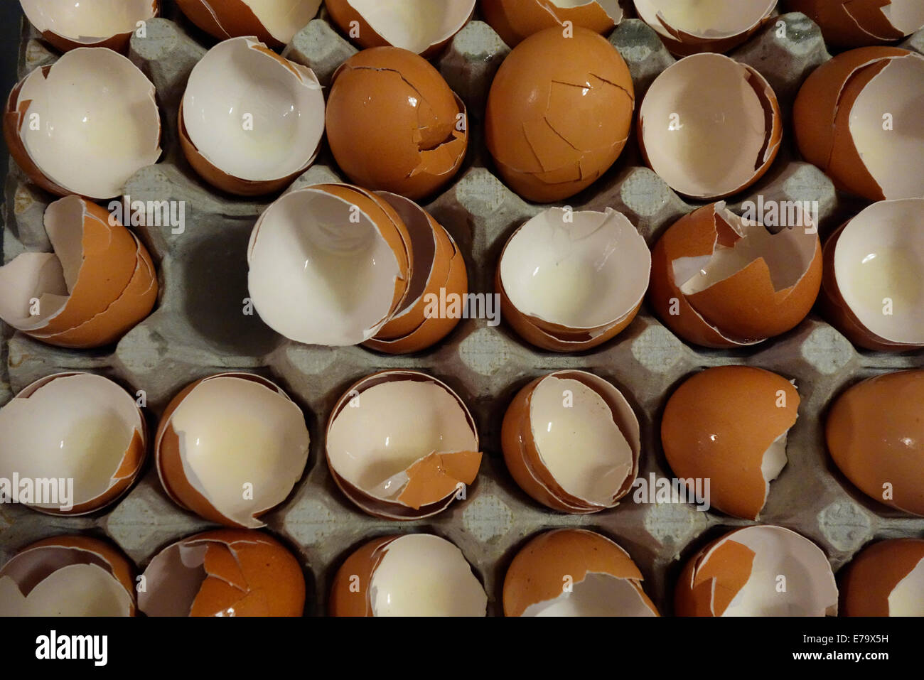 Svuotare i gusci d'uovo Foto Stock