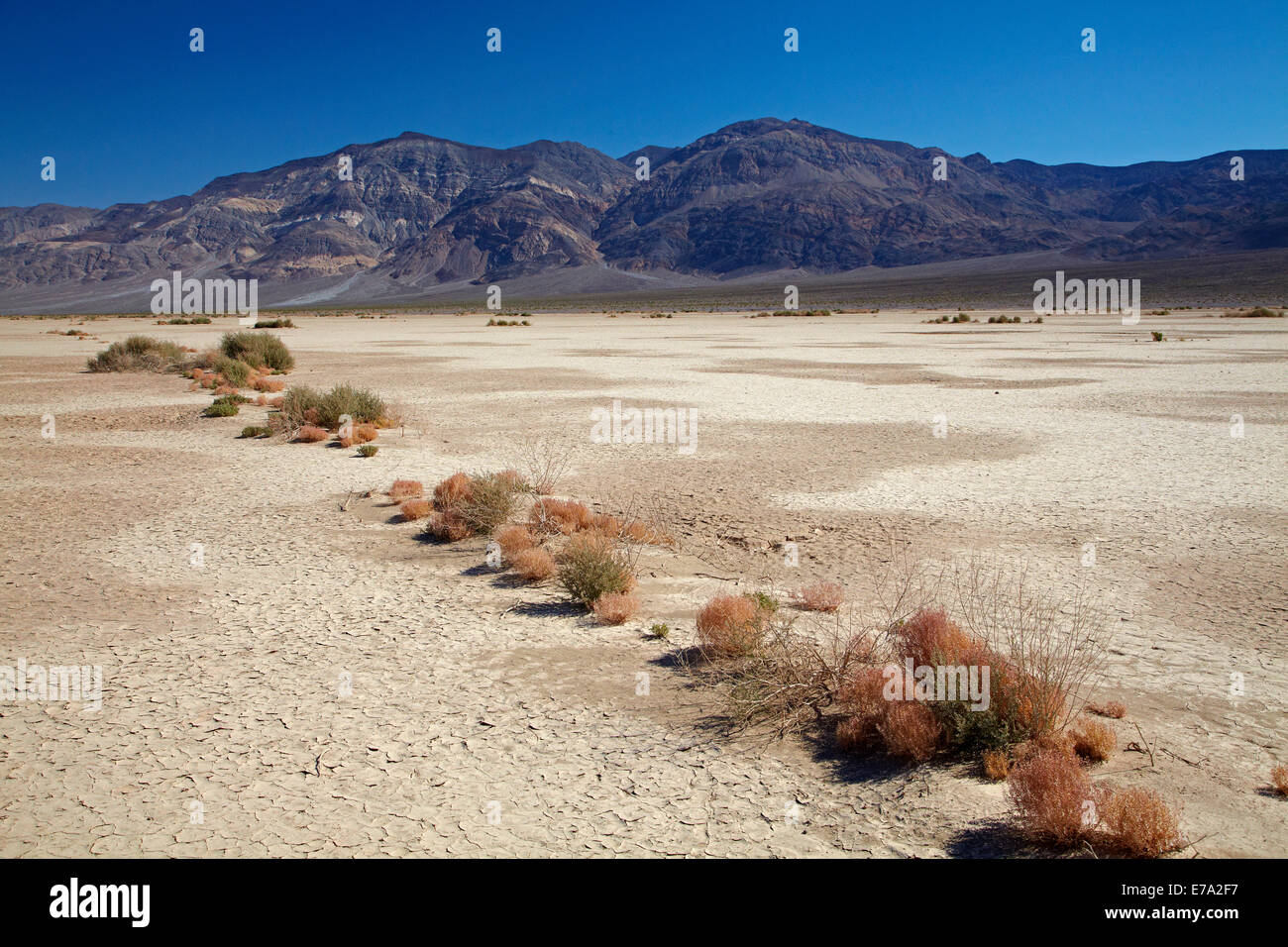 Salina, Panamint Valley, e Panamint Range, Parco Nazionale della Valle della Morte, Deserto Mojave, CALIFORNIA, STATI UNITI D'AMERICA Foto Stock