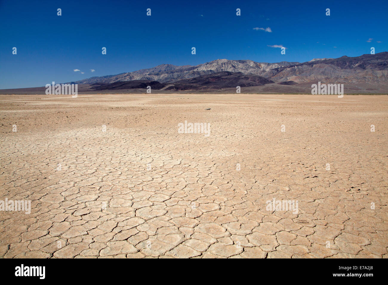 Fango essiccato in salina, Panamint Valley, e Argus gamma, Parco Nazionale della Valle della Morte, Deserto Mojave, CALIFORNIA, STATI UNITI D'AMERICA Foto Stock
