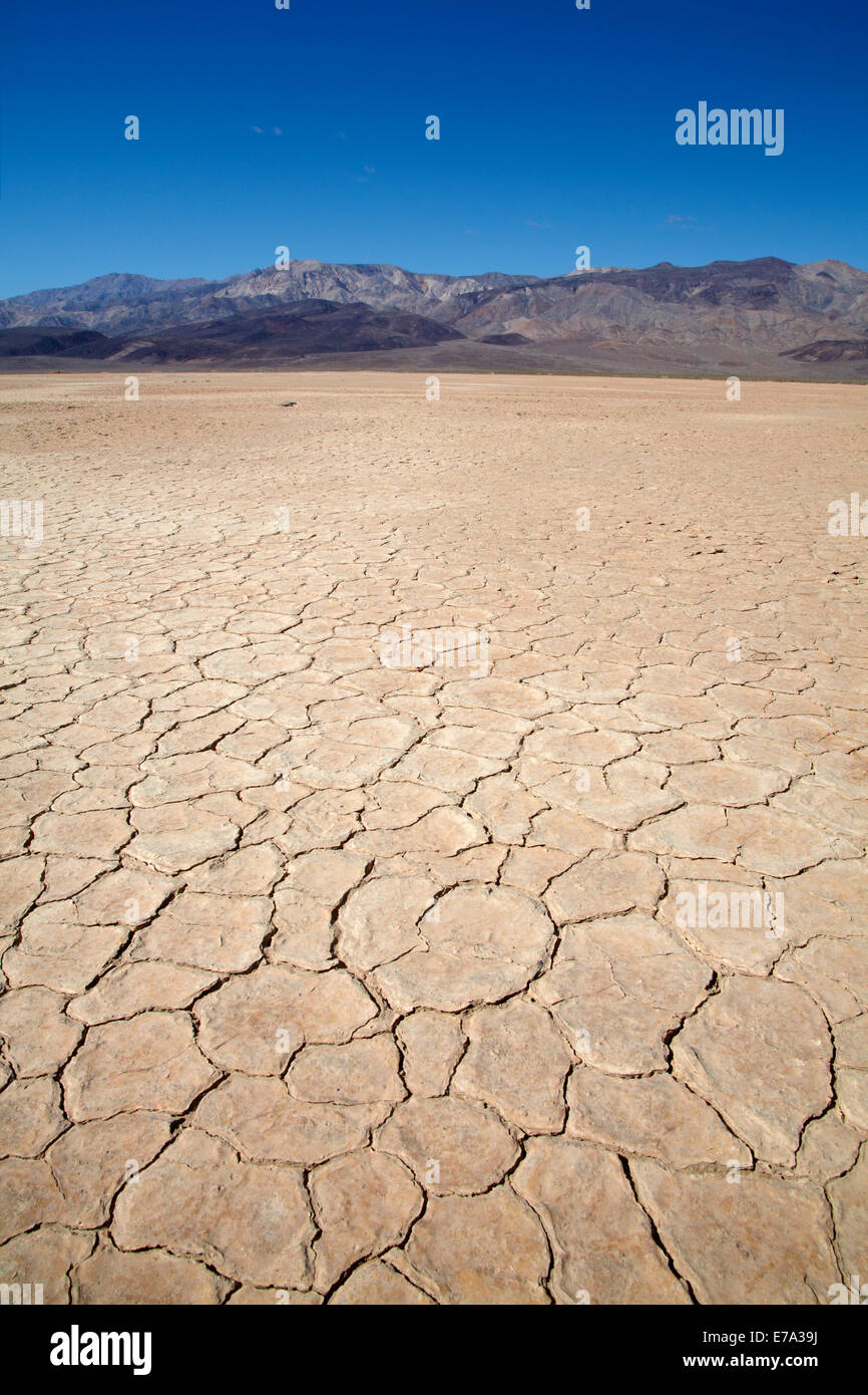 Fango essiccato in salina, Panamint Valley, e Argus gamma, Parco Nazionale della Valle della Morte, Deserto Mojave, CALIFORNIA, STATI UNITI D'AMERICA Foto Stock