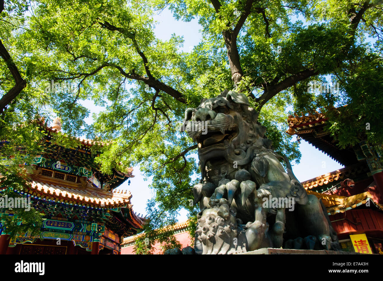 Leone cinese statua presso il Tempio Lama a Pechino in Cina Foto Stock