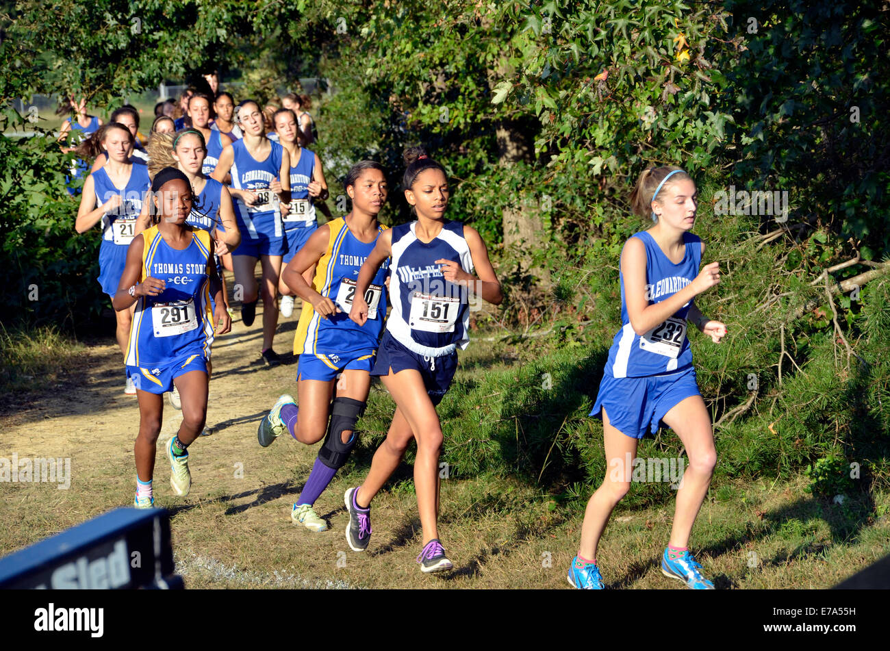 Ragazze in un cross country si incontrano a Laplata, Maryland Foto Stock