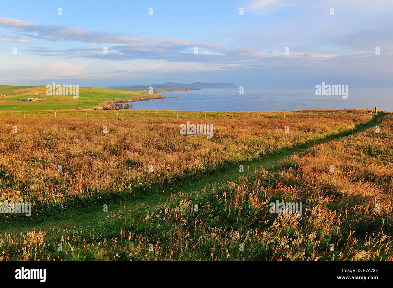 Vista di Marwick Bay, Marwick Testa, Continentale, Orkney, Scotland, Regno Unito Foto Stock