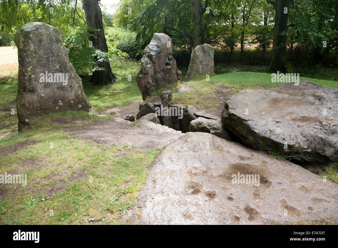 Wayland's Smithy è una storica chambered neolitico long barrow su la Ridgeway vicino Ashbury, Oxfordshire, Inghilterra Foto Stock