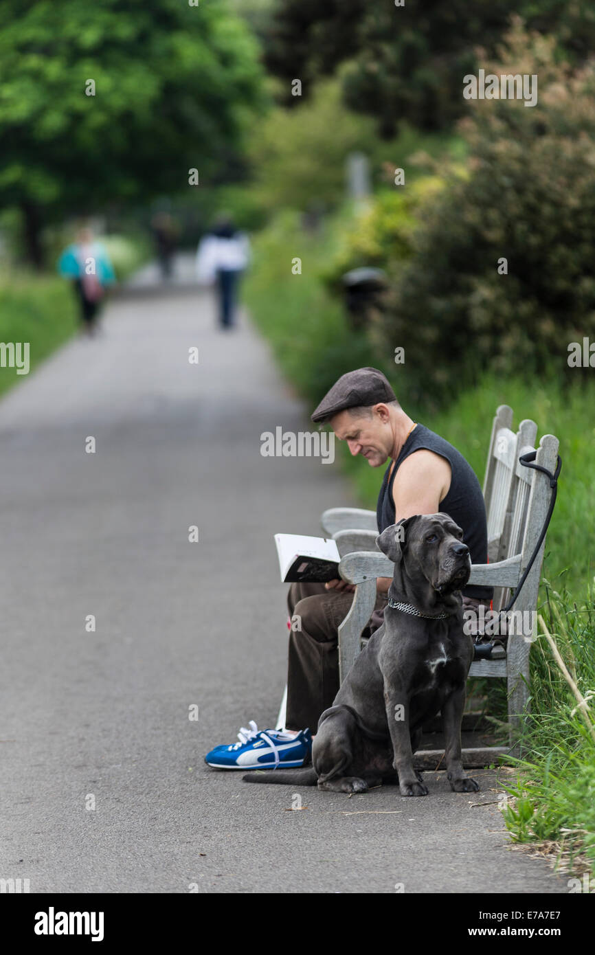 Uomo seduto su una panchina e la lettura di un libro con un cane nel cimitero di Brompton, West Brompton, London, England, Regno Unito Foto Stock
