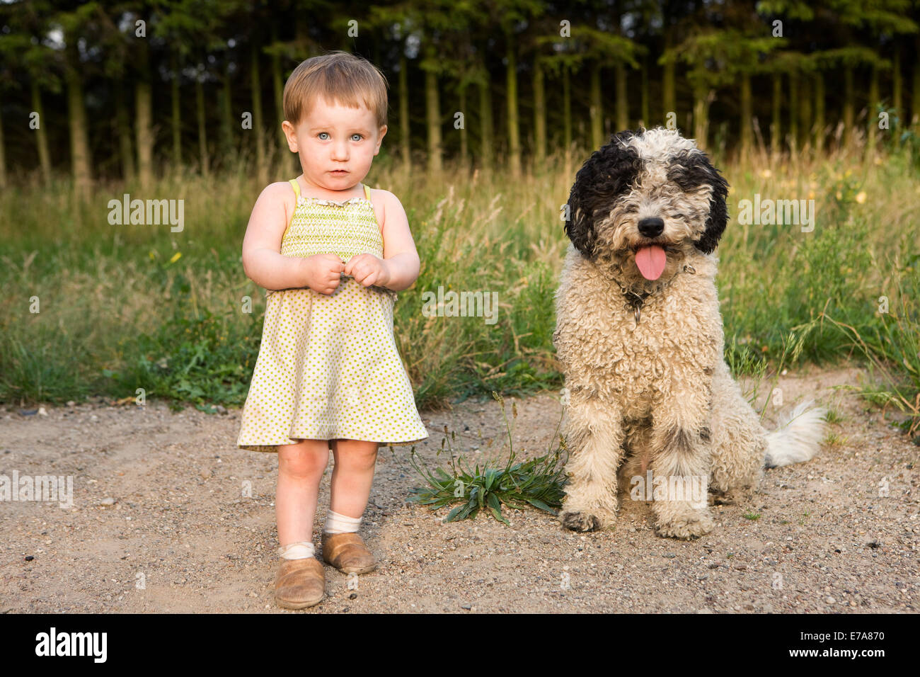 Baby girl in piedi con acqua portoghese cane, ritratto Foto Stock