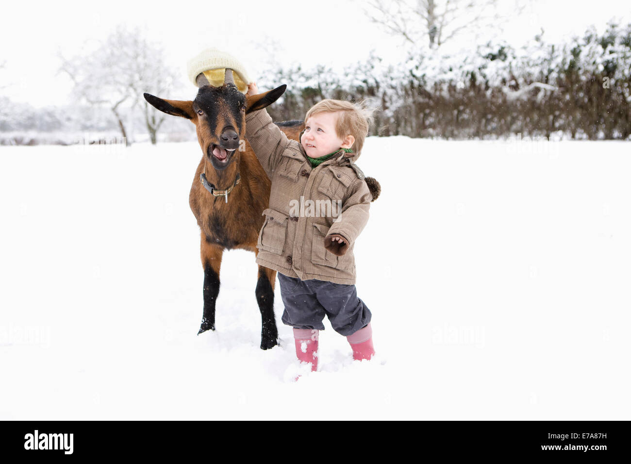 Baby girl mettendo il suo cappello di capra Foto Stock