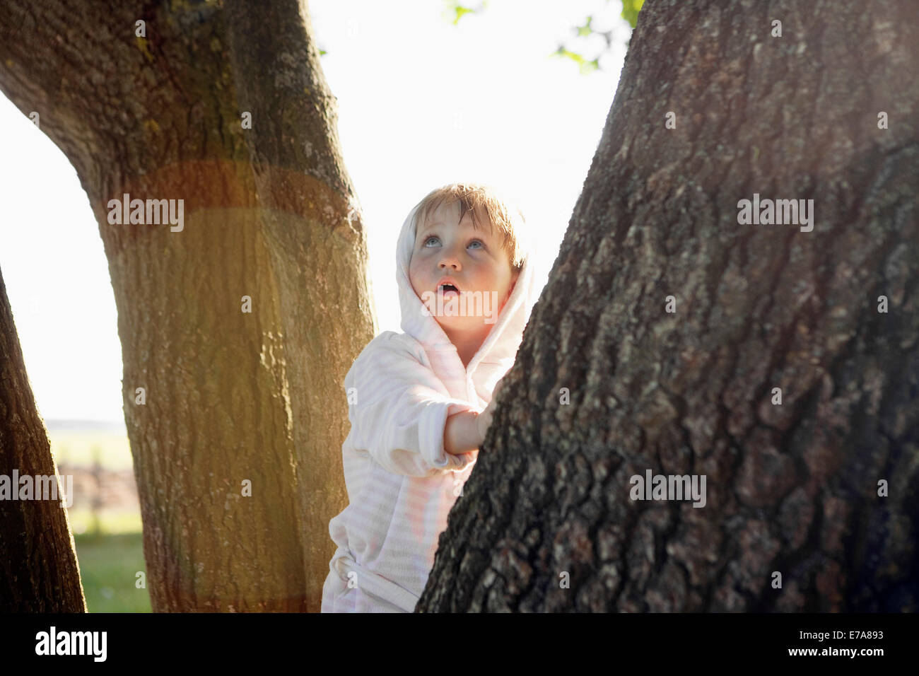 Una giovane ragazza poggiante su un tronco di albero e cercando in meraviglia Foto Stock