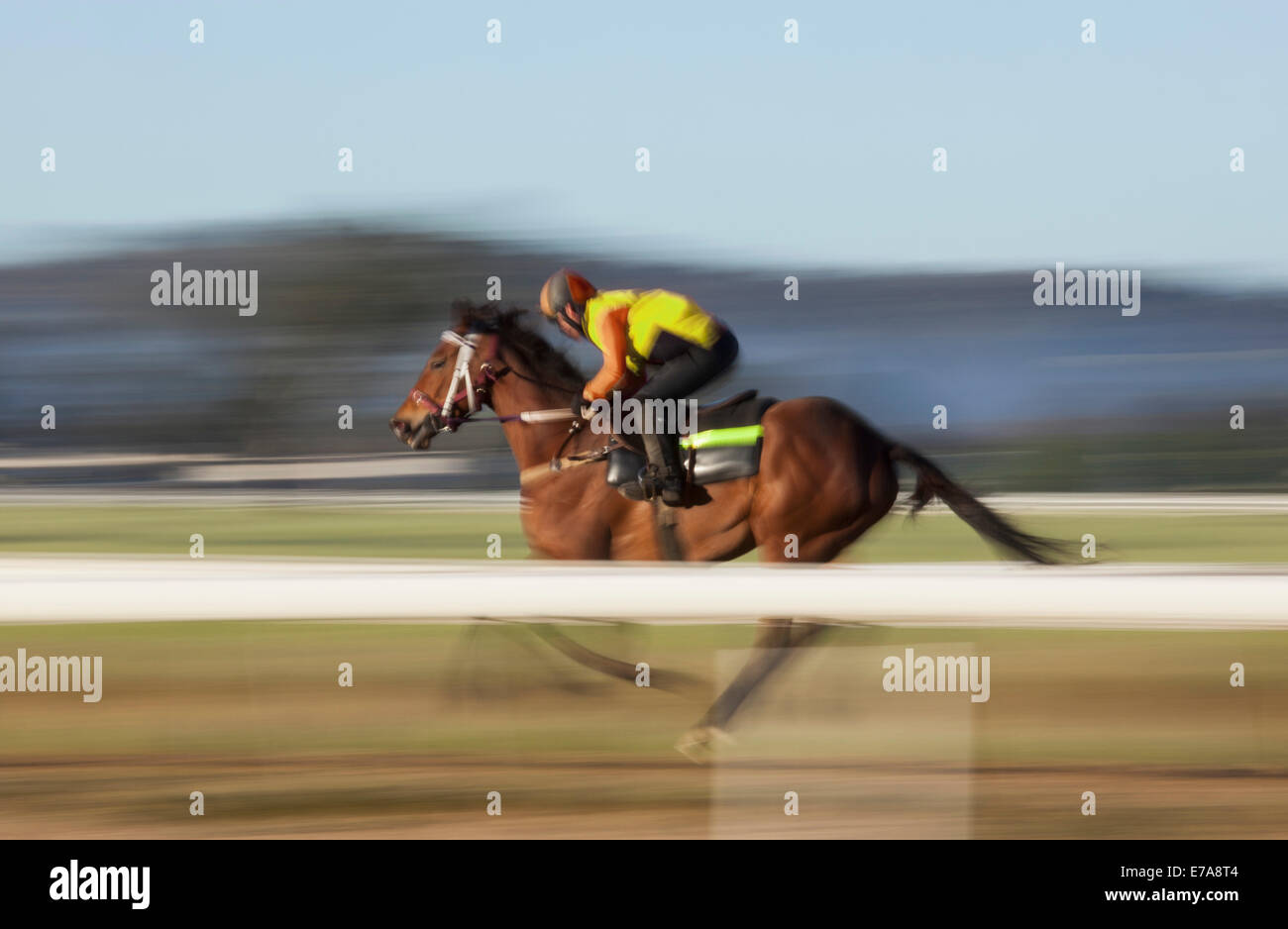 Moto sfocata del fantino di equitazione Foto Stock