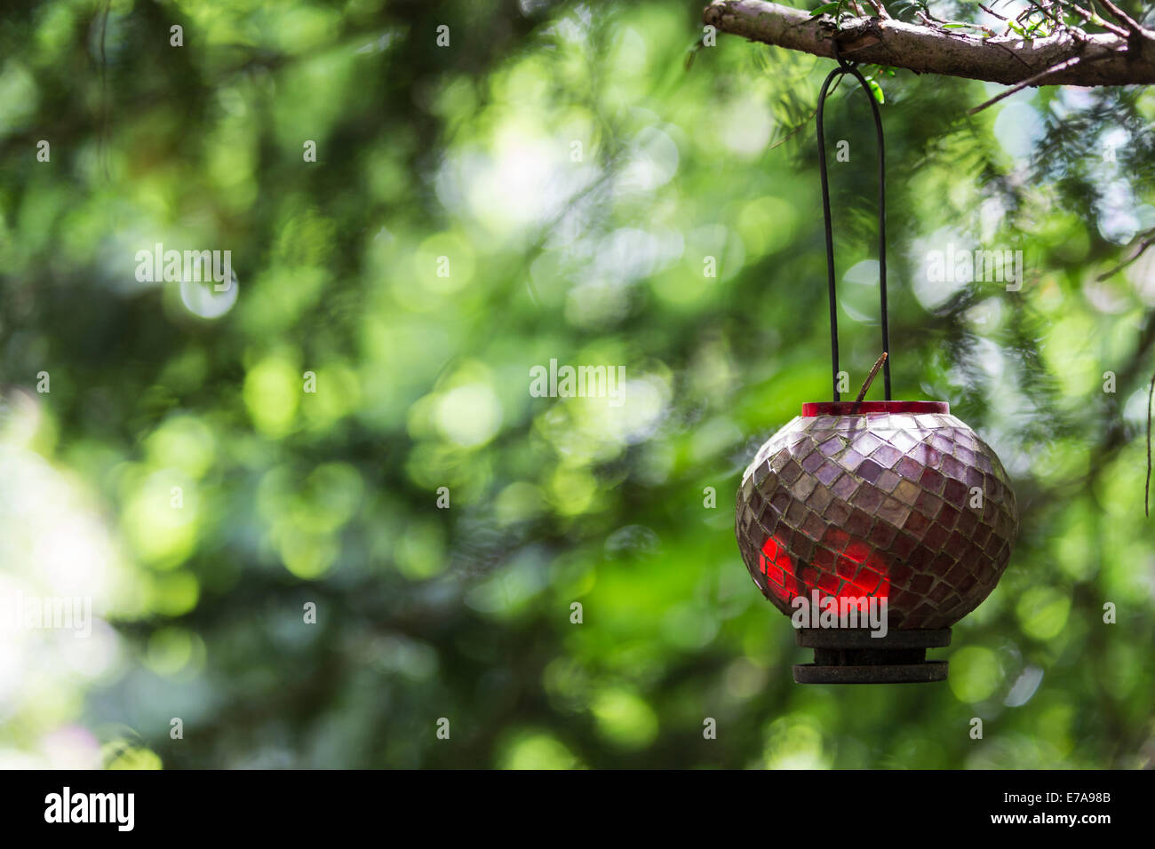 Rosso lanterna pensile a Buddhapadipa tempio buddista, Wimbledon Parkside, London, England, Regno Unito Foto Stock