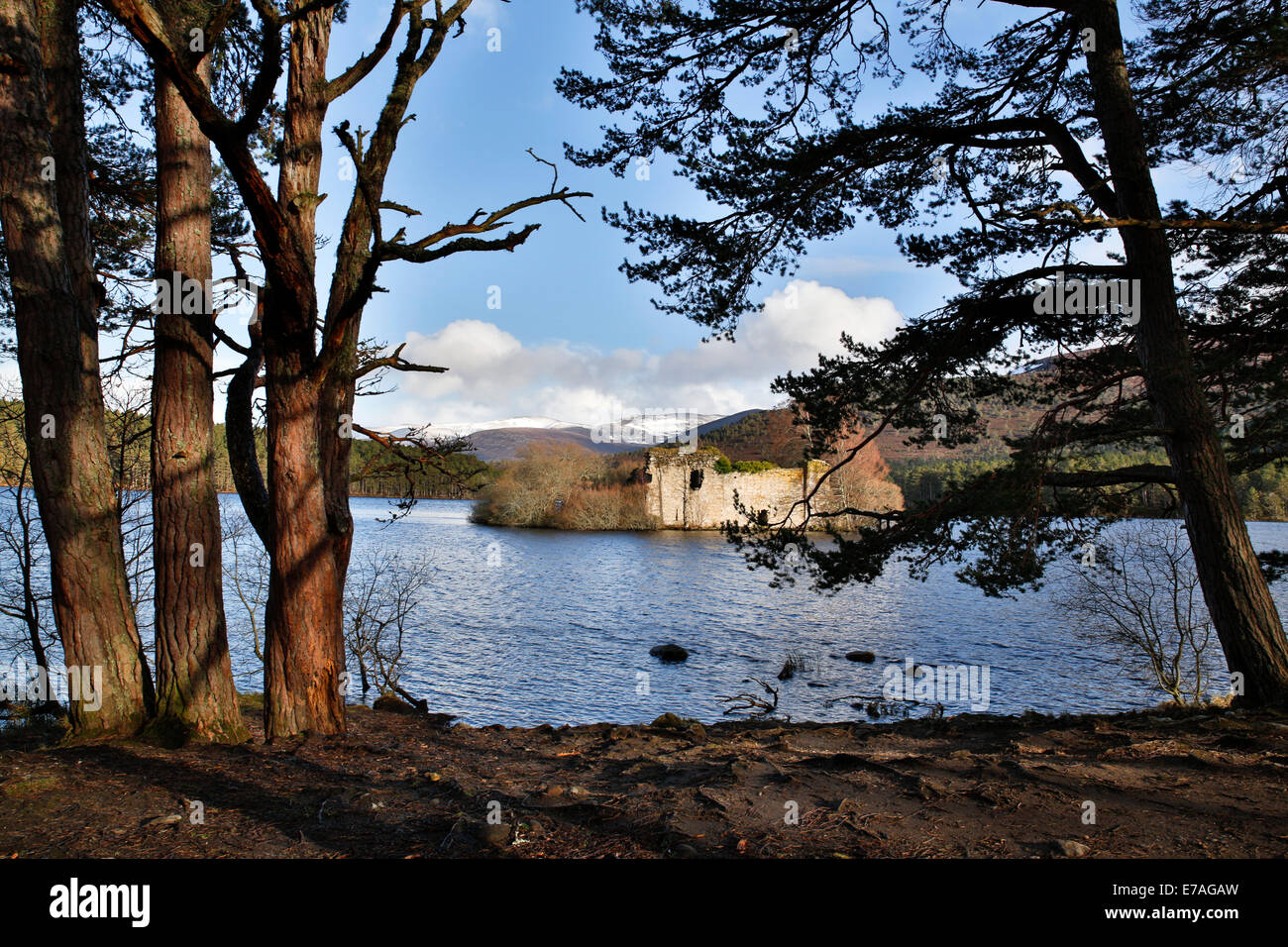 Loch un Eilein; Rothiemurchus; Aviemore; Scozia; Foto Stock