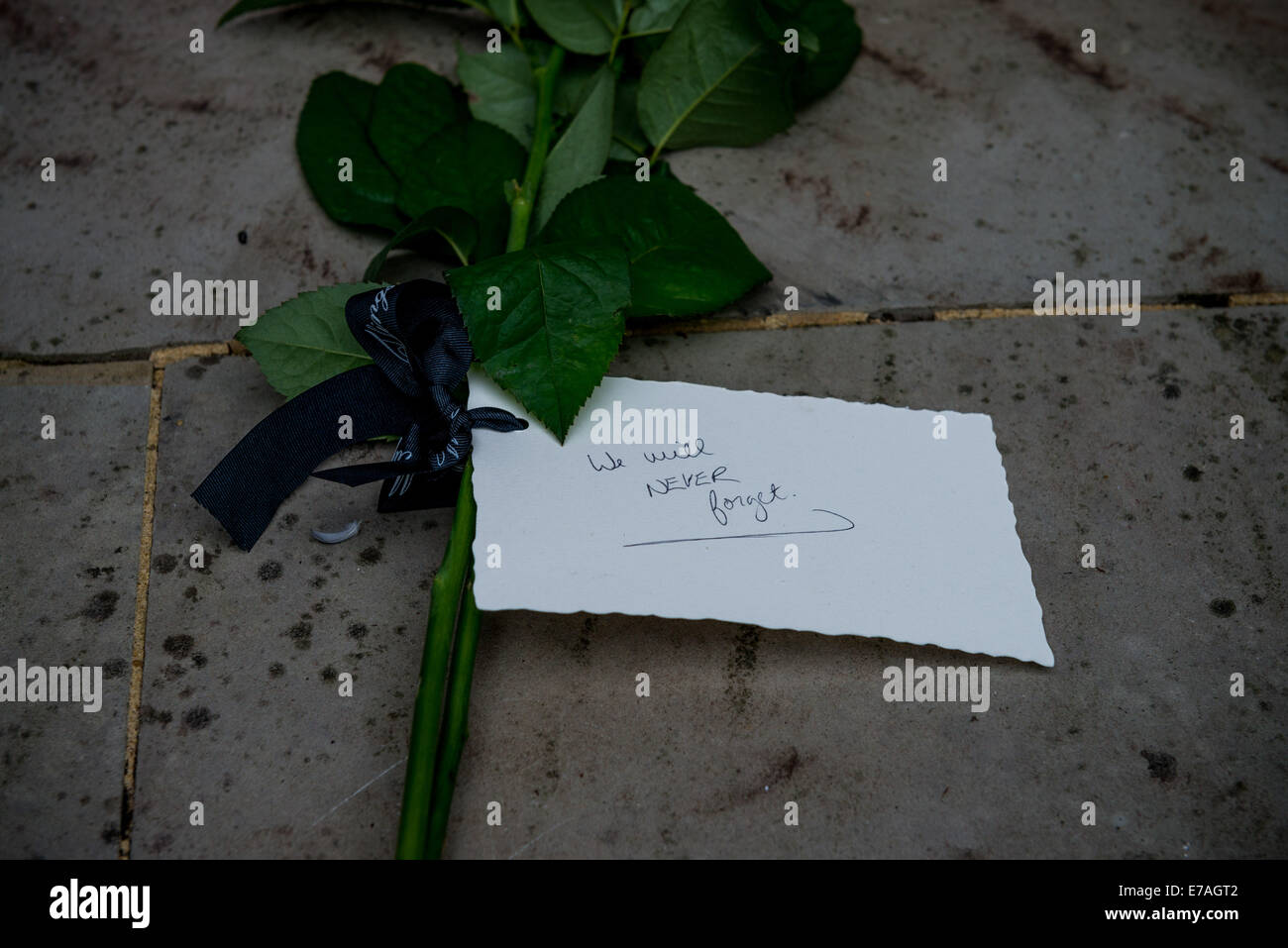 Commemorazione di attentati in Grosvenor Garden di Londra Foto Stock