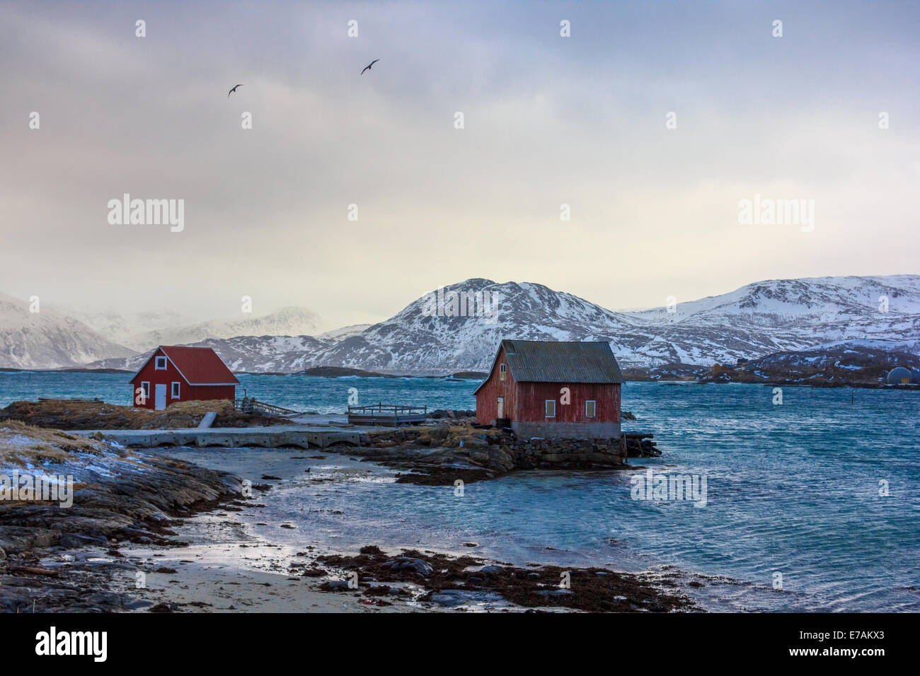 Rorbu tradizionale nelle isole Lofoten in Norvegia Foto Stock