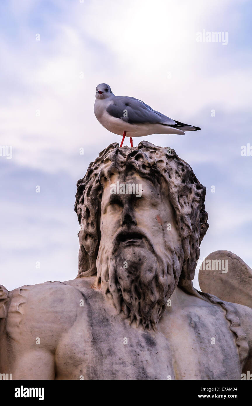 Un gabbiano si siede sulla testa di una scultura in un giardino in Parigi Francia. Foto Stock