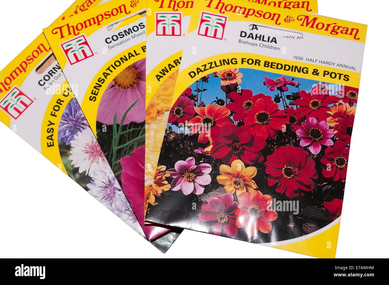 Pacchetti di semi di fiori da Thompson e Morgan Foto Stock