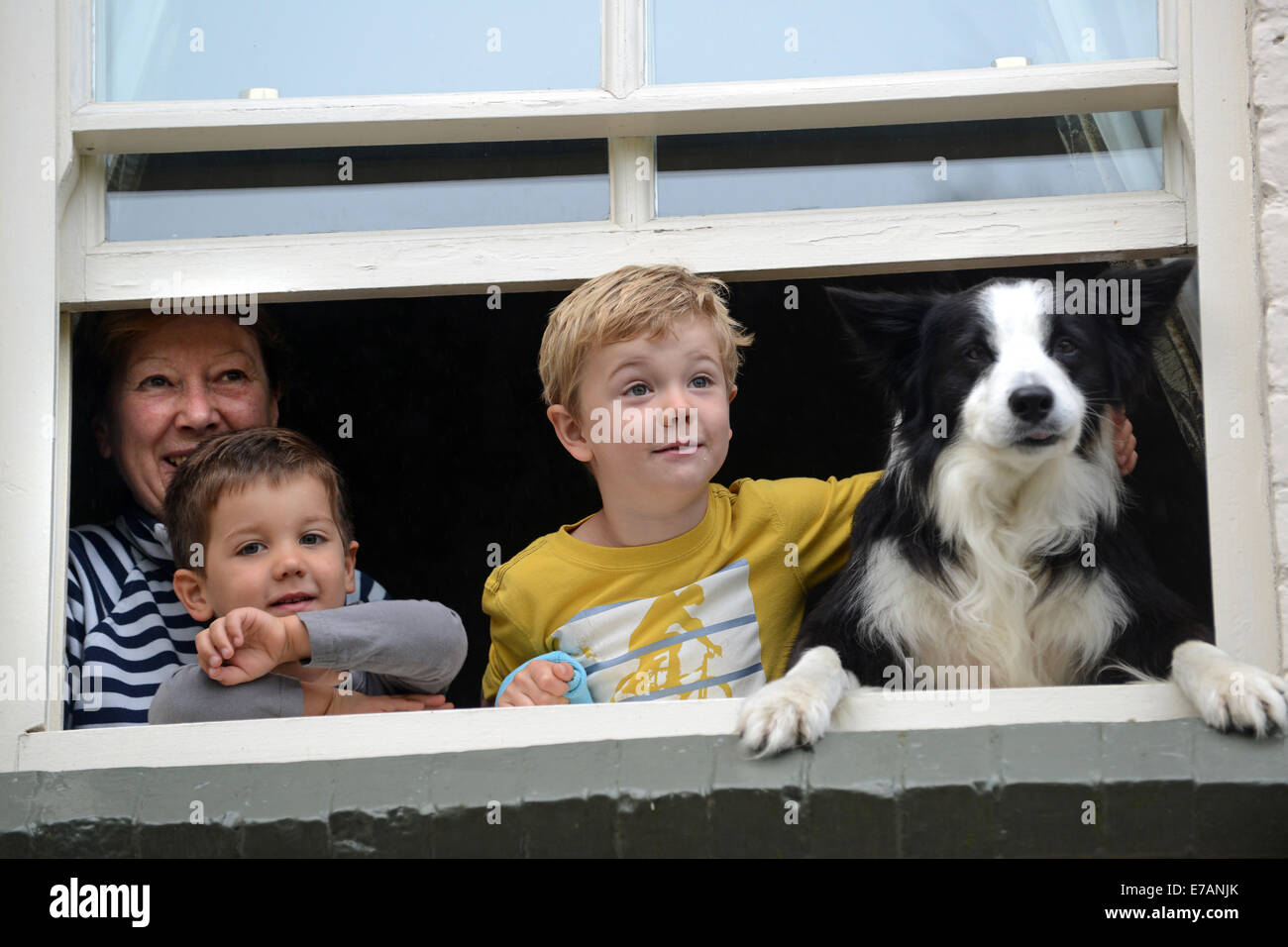 Famiglia bambini con cane animale domestico guardando attraverso la finestra di casa Gran Bretagna Foto Stock