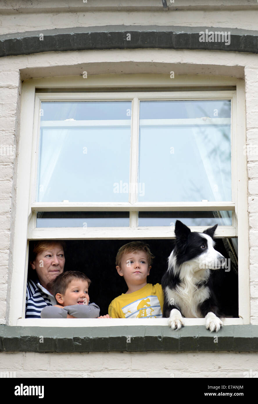 Famiglia Bambini con cane guardando attraverso la finestra home uk Foto Stock