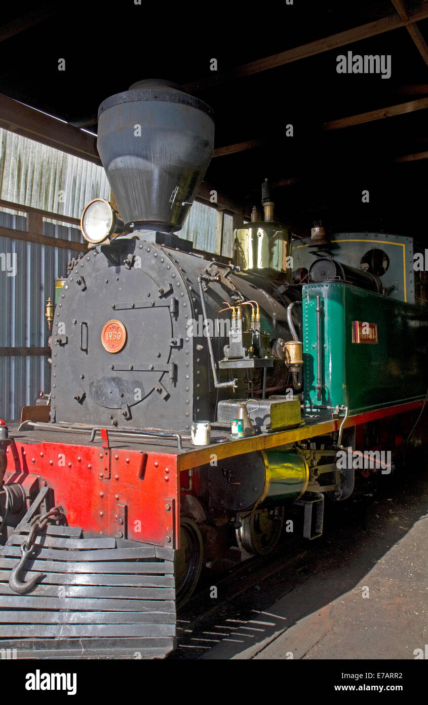 Bay of Islands Vintage locomotore ferroviario presso la città di Kawakawa, Isola del nord, Nuova Zelanda. Foto Stock