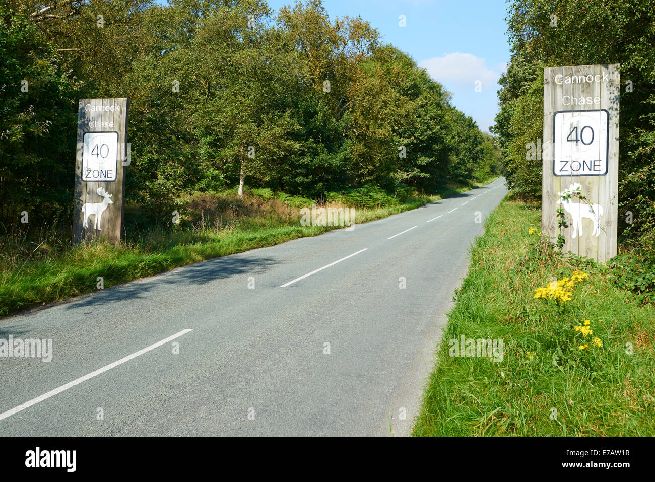 Cartello stradale consigliando 40 MPH Zona sul marchese Drive Cannock Chase Country Park Staffordshire REGNO UNITO Foto Stock