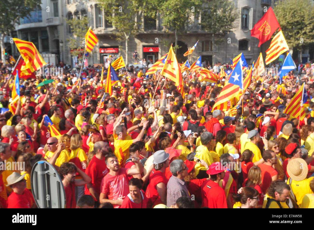 Barcellona, Spagna. Undicesimo Sep, 2014. Diada Catalogna (Barcellona, Settembre 11th, 2014) a persone in bandiera Credito: Monica Condeminas/Alamy Live News Foto Stock