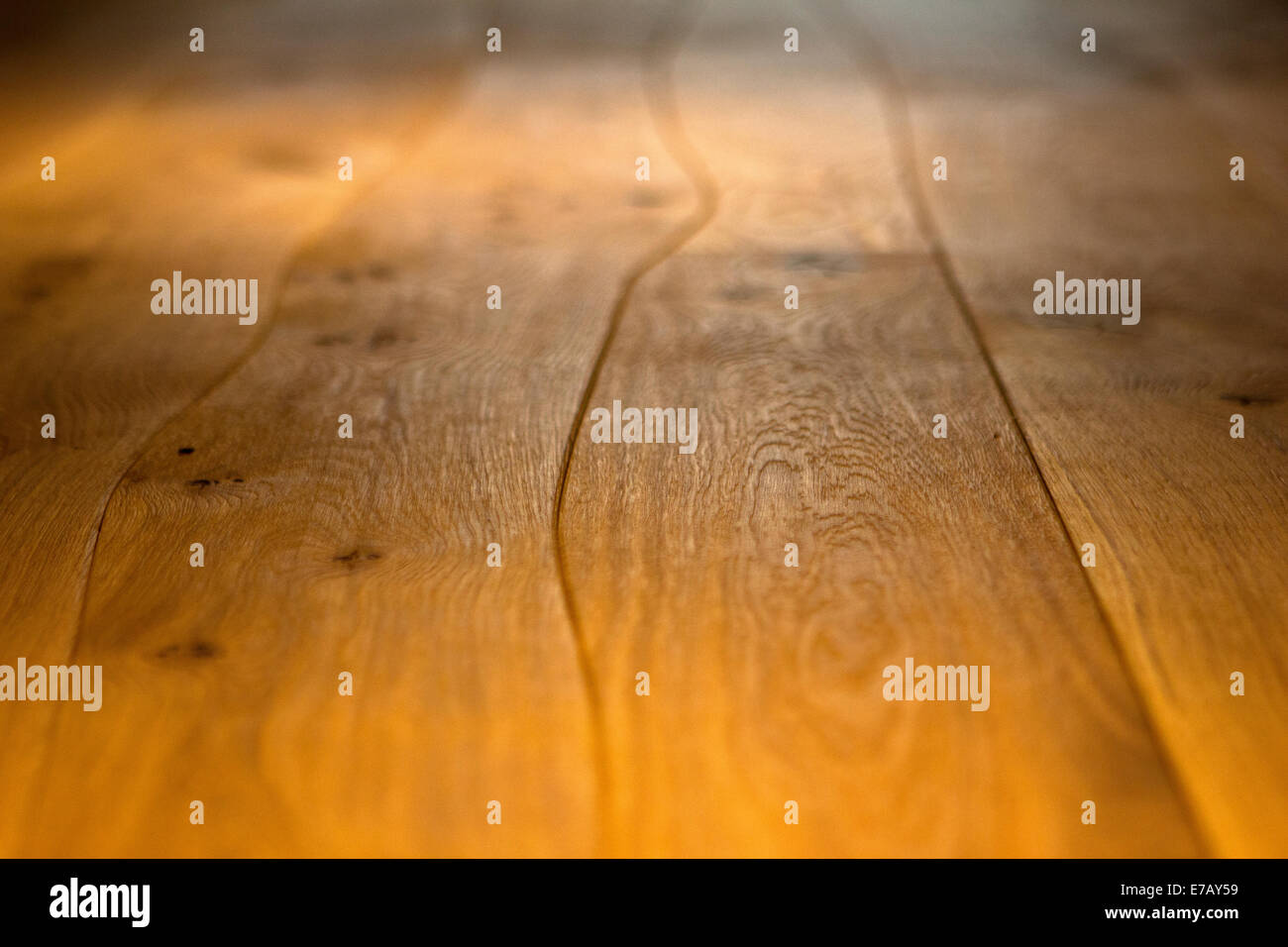 Rovere pavimenti in legno duro Marrone macro può utilizzare per lo sfondo Foto Stock