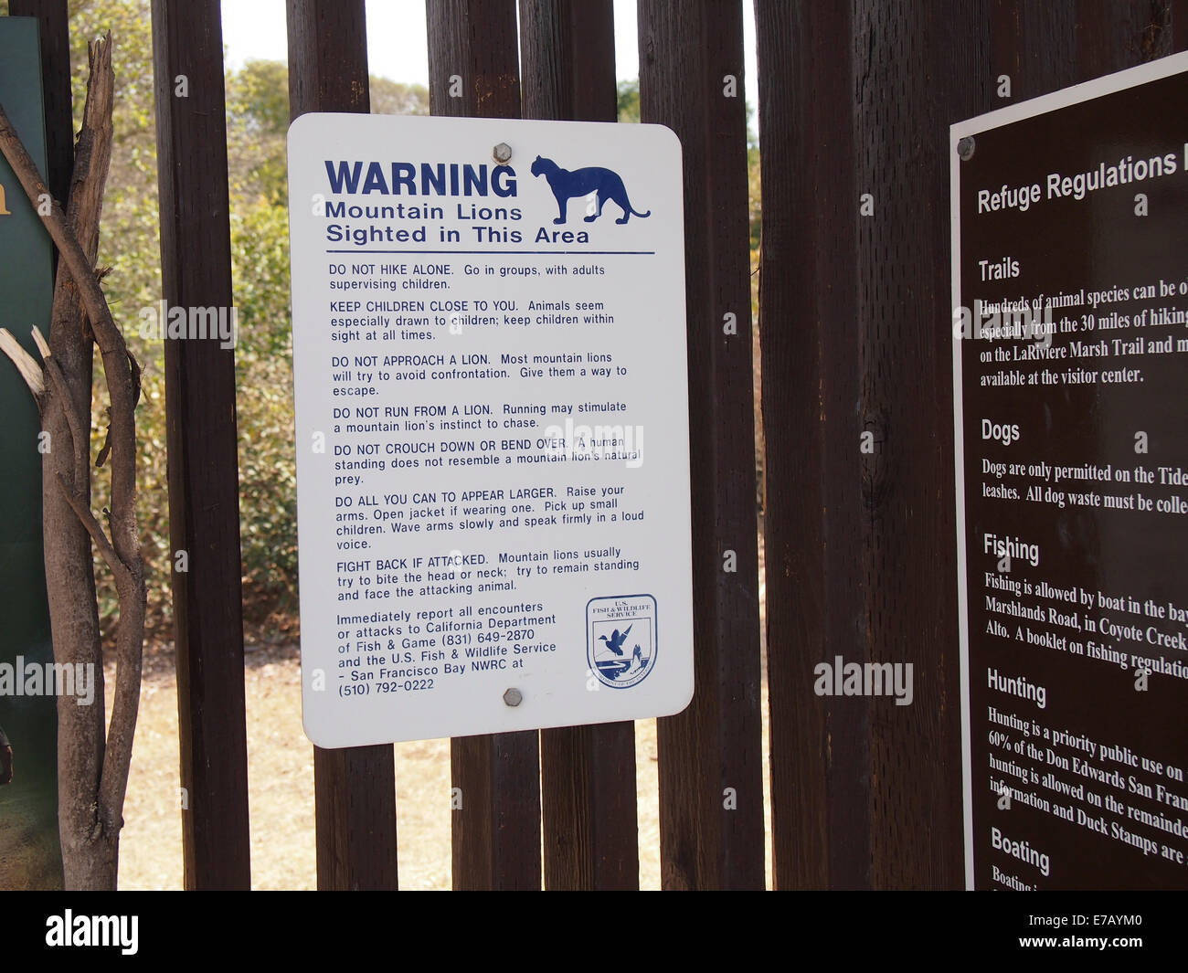 Mountain lion segno di avvertimento Foto Stock