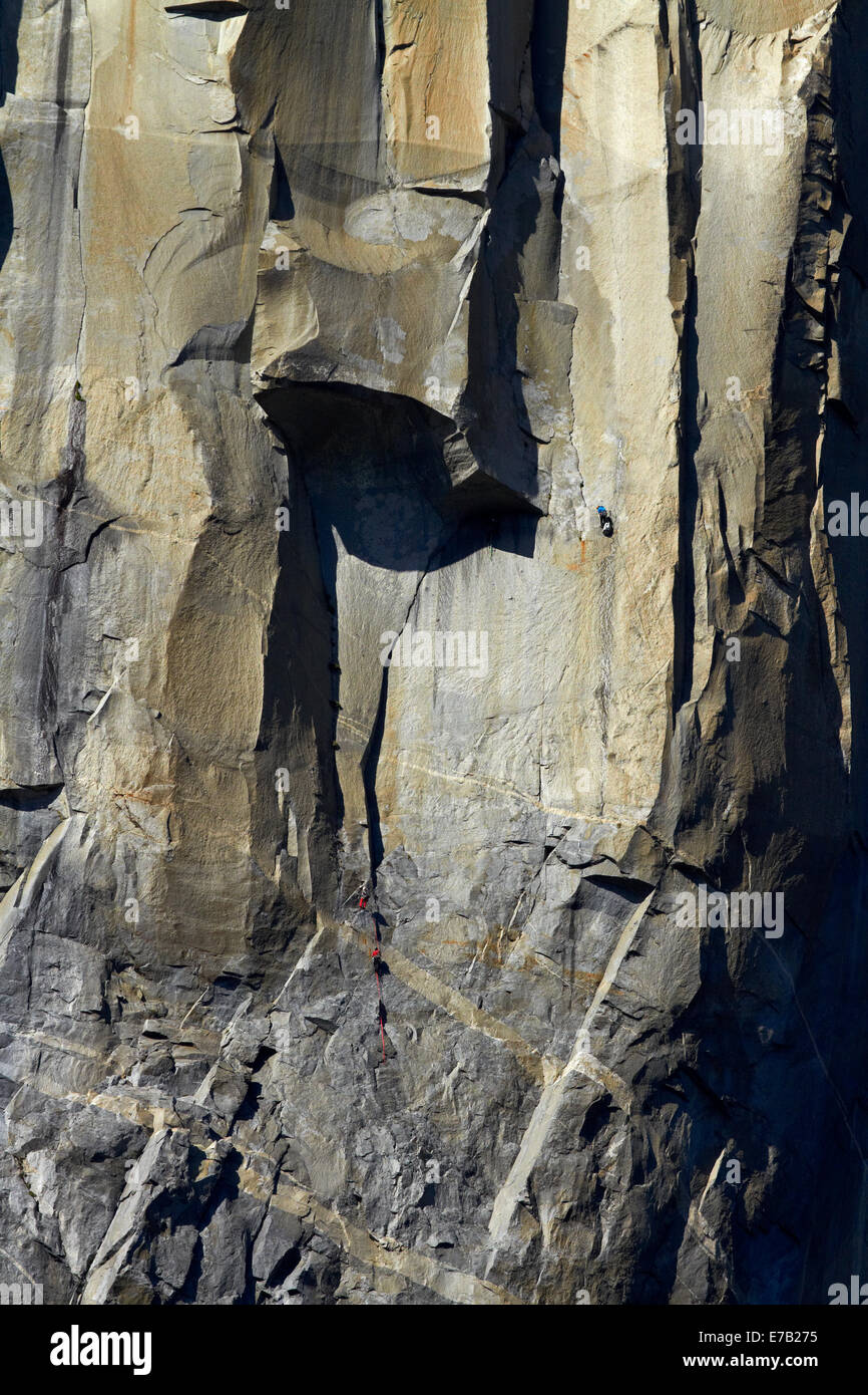 Gli alpinisti scaling El Capitan, Yosemite National Park, California, Stati Uniti d'America Foto Stock