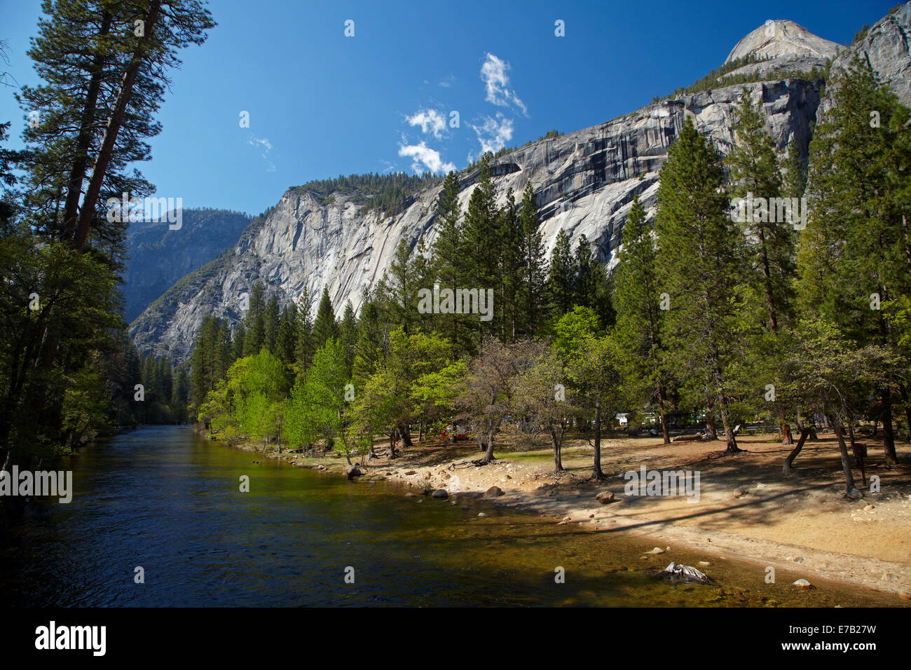 Merced River e il nord di pini campeggio, Yosemite Valley, Yosemite National Park, California, Stati Uniti d'America Foto Stock