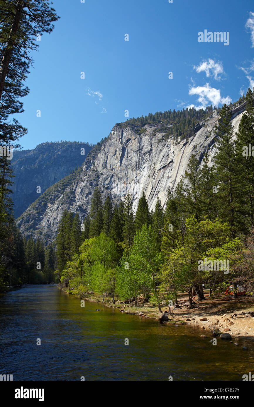 Merced River e il nord di pini campeggio, Yosemite Valley, Yosemite National Park, California, Stati Uniti d'America Foto Stock