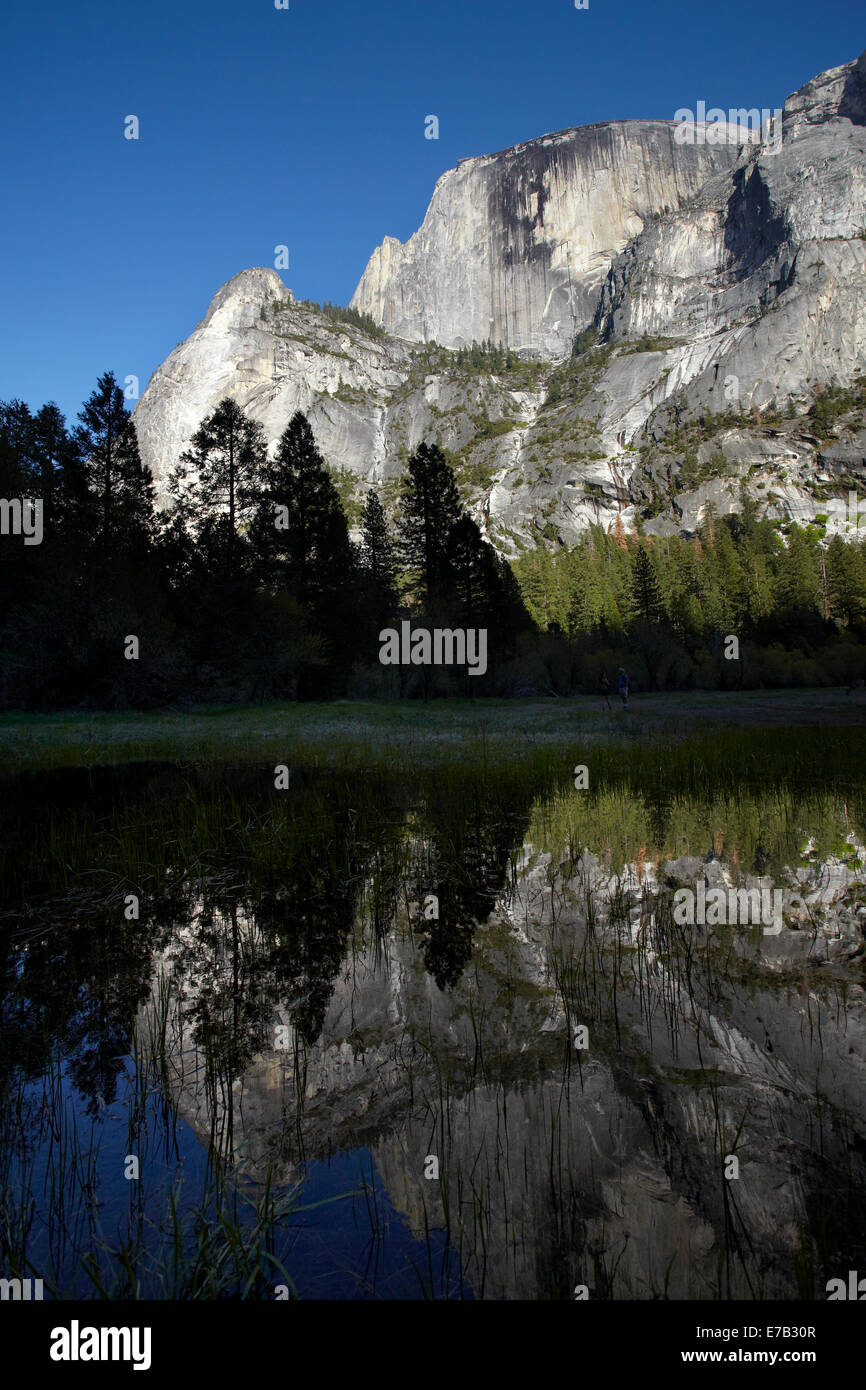 A nord-ovest di fronte di Half Dome, riflesso nel Mirror Lake, il Parco Nazionale Yosemite in California, Stati Uniti d'America Foto Stock