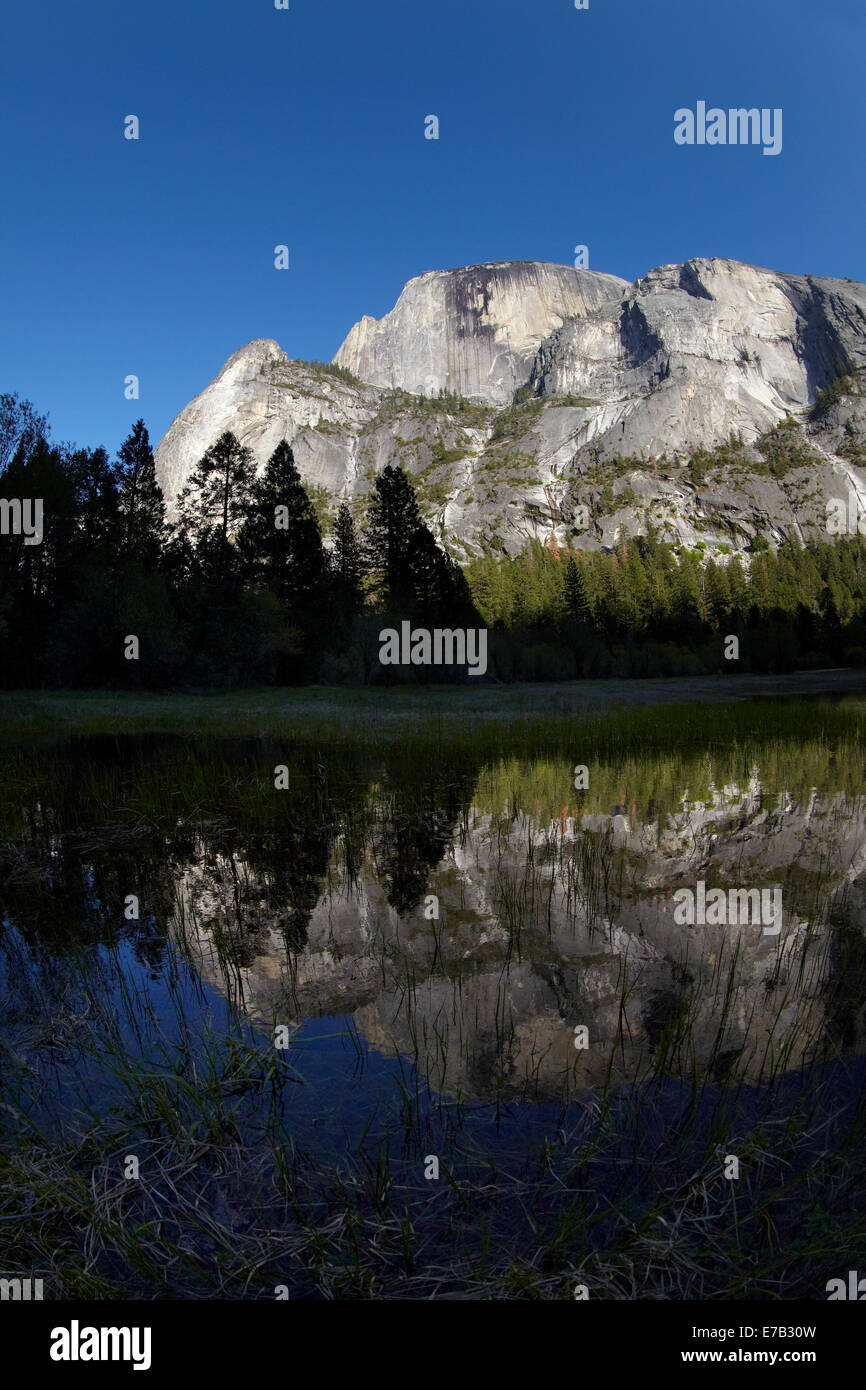 A nord-ovest di fronte di Half Dome, riflesso nel Mirror Lake, il Parco Nazionale Yosemite in California, Stati Uniti d'America Foto Stock