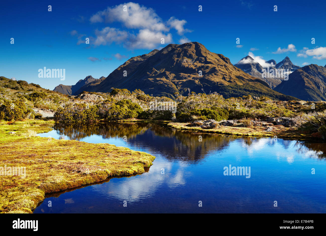 Piccolo lago al vertice di chiave, Routeburn track, Nuova Zelanda Foto Stock