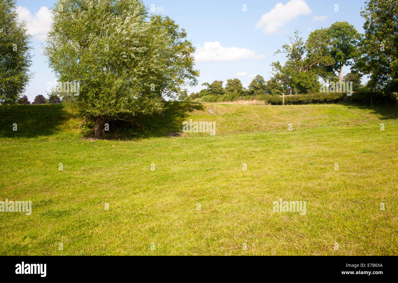 Banca di massa rimane del Neolitico henge a Hatfield earthworks sito a Marden, Wiltshire, Inghilterra Foto Stock