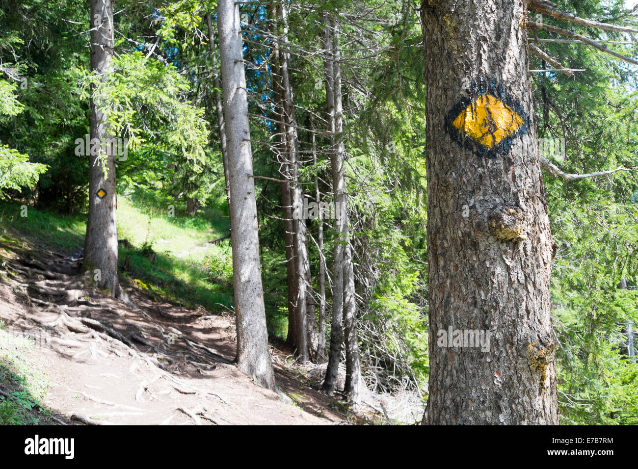 LA FOULY, Svizzera - 30 agosto: Mont Blanc logo tour dipinta su alberi sulla rotta. Il popolare gita passa attraverso tre contare Foto Stock