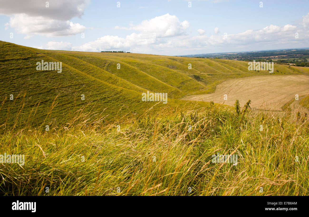 Chalk ripida scarpata e di pendenza della vale del Cavallo Bianco guardando ad ovest dal vicino Uffington Castle, Oxfordshire, Inghilterra Foto Stock