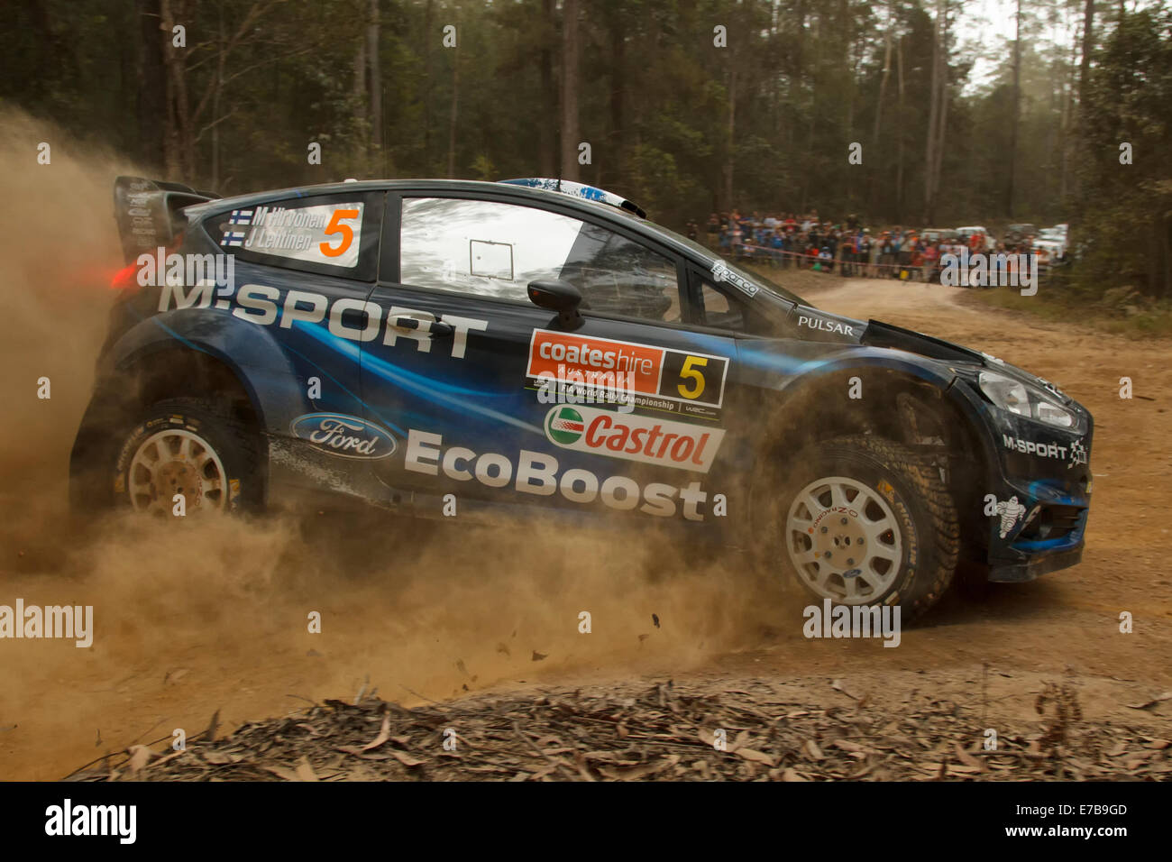 Coffs Harbour, Australia, venerdì 12 settembre, 2014. M-Sport World Rally Team. Mikko Hirvonen e co-driver Jarmo Lehtinen su speciale allo stadio 6 del Rally Australia. Hirvonen è riuscito a terminare la giornata al sesto posto assoluto. Credito: Russell Hunter/Alamy Live News Foto Stock