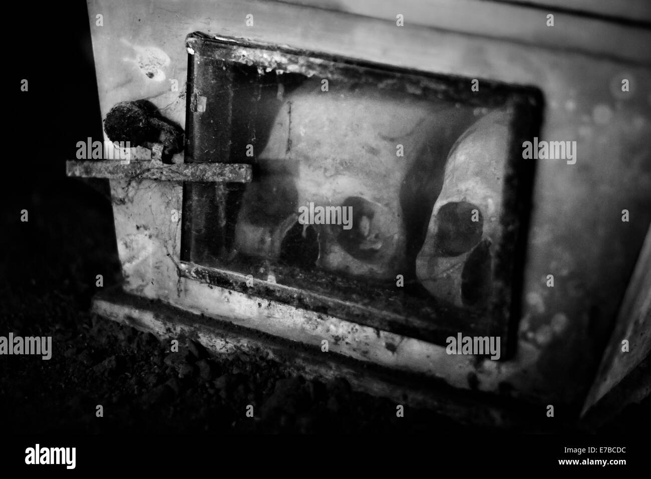 Crani in una scatola Foto Stock