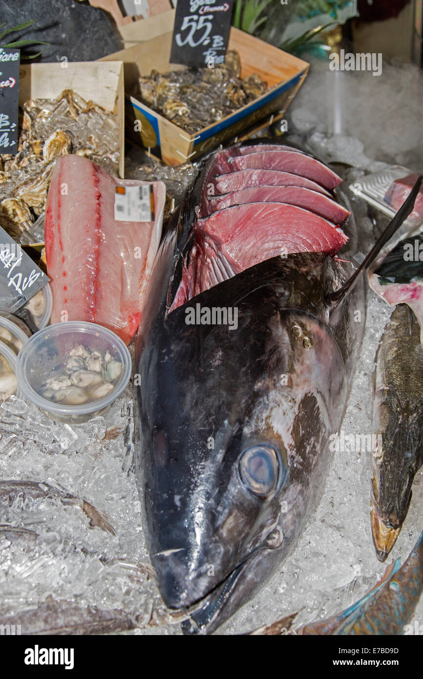 Tonno albacora, anche 'Ahi' (Thunnus albacares), tagliato a pezzi in un mercato del pesce, Chiang Mai e Chiang Mai Provincia, Thailandia Foto Stock